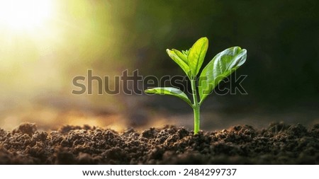 Similar – Image, Stock Photo the small trees grow on the shore and reflect in the calm blue water like a symbiosis with the clouds