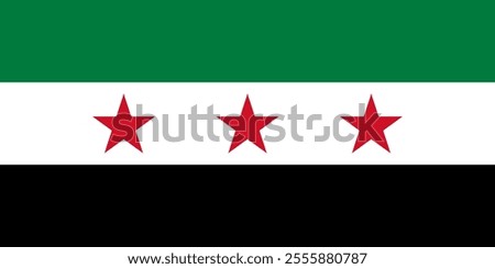 New Official Syria Flag 2024