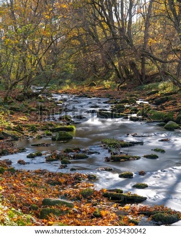 Nice river view through the vally. Autumn colors, mossy stones, colorful leaves, rapid river. Small creak flowing through valley. Beautiful sunny autumn day on Jägala river. Beginning of october Foto d'archivio © 