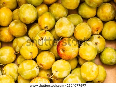 Similar – Image, Stock Photo Fresh Yellow plum mirabelle fruit in plate