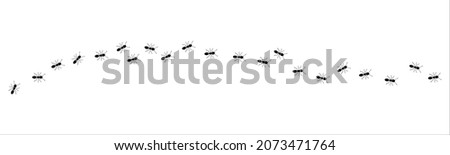 Similar – Image, Stock Photo Anthill Column of ants