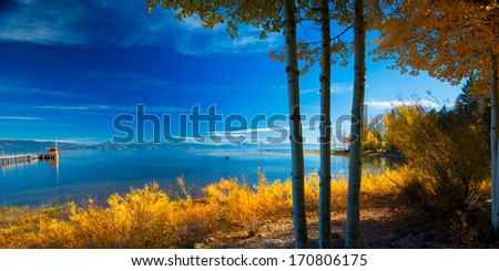 Trees at the lakeside, Tahoe City, Lake Tahoe, California, USA