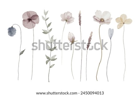 Similar – Image, Stock Photo dried flowers isolated on white wooden table