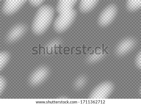 Vector Transparent Shadow of Foliage Silhouette. Decorative Design Element for Banners. Shadow Overlay Effect for Mockups