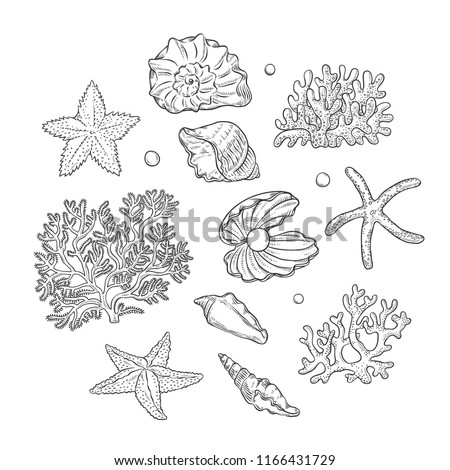 Coral Clipart Black And White | Free download on ClipArtMag