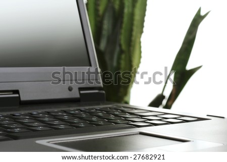 Laptop and Green Plant isolated over white (focus on keyboard).