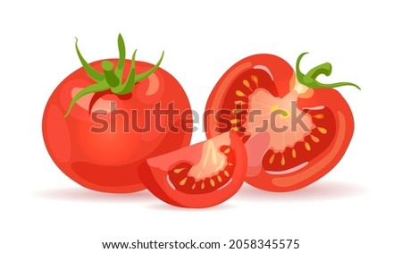 Fresh red tomatoes. Vegetables. Half a tomato, a slice and a whole tomato. Vector realistic illustration