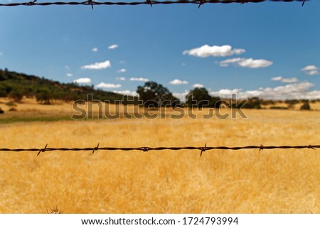 Barb Wire near a dry meadow Photo stock © 