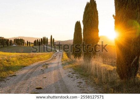 Similar – Image, Stock Photo Idyllic Rural Tuscany Summer Landscape