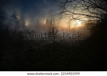 Similar – Image, Stock Photo Lost Place