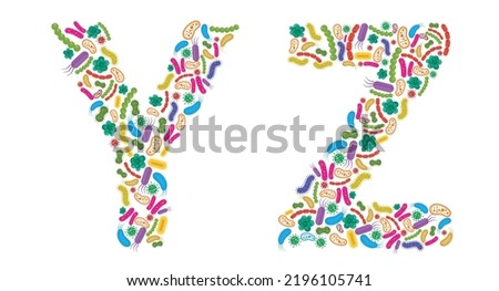 Vector alphabet Y Z made of Bacteria isolated on white background, bacteria font. Vector illustration. Stock fotó © 