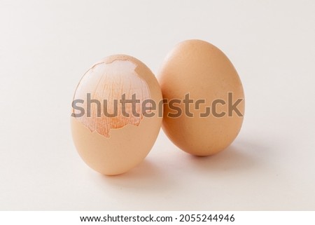 peeled egg shell expose the egg membrane on white background. Stock foto © 