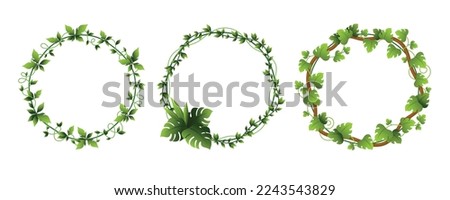 Creepers circle frame climbing greenery plant decor element set vector flat illustration. Round border foliage ornament ivy tropical natural decoration floral tree branch wild garden boundary