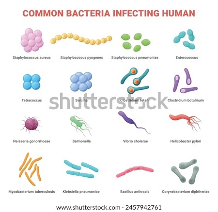 Common bacteria infecting human medical educational poster isometric vector illustration. Healthcare microbiology disease health system disorder germs bacterial illness microscopic bacillus with names