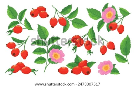 Similar – Image, Stock Photo These are rosehips