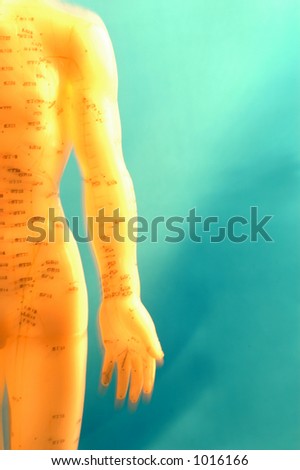 Cropped acupuncture model torso photographed with zoom lens blur and mixed high key lighting.