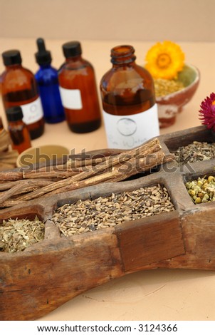 The holistic ingredients of Ayurveda and Herbalism including licorice root, milk thistle seeds, valerian root, chamomile, and tincture bottles.