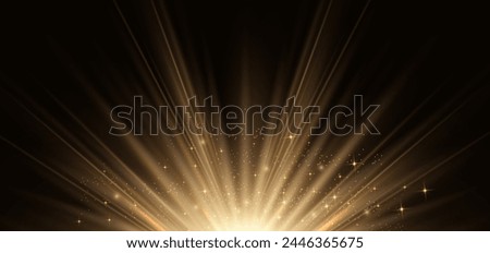 Elegant golden light ray on black background with lighting effect and sparkle with copy space for text. Luxury design style. Vector illustration