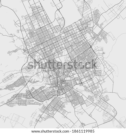 Urban city map of Riyadh. Vector illustration, Riyadh map grayscale art poster. Street map image with roads, metropolitan city area view.