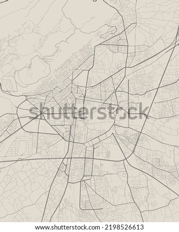 Vector map of Damascus, Syria. Urban city in Syria. road map poster illustration. Damascus map art.