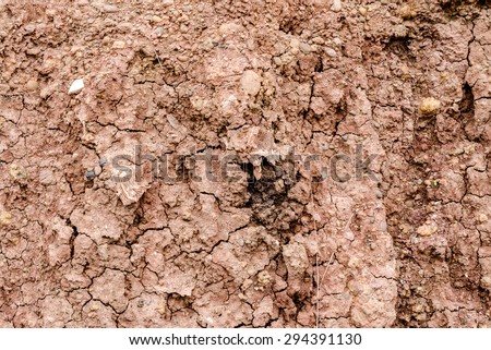 Crack soil on dry season, Effect of Global worming, Soil background and texture