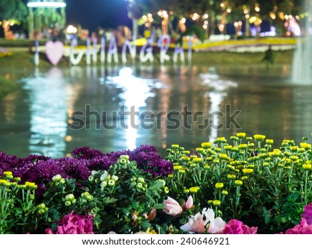 CHIANGRAI - DECEMBER 28: ASEAN Flower Festival is free annually flower festival in Chiangrai, Thailand. Exhibit various kinds of warm climate flowers, was taken on December 28, 2014.