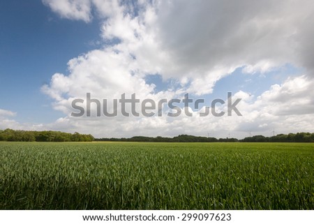 Typical flat and featureless agricultural crop land in Holland, Europe.
