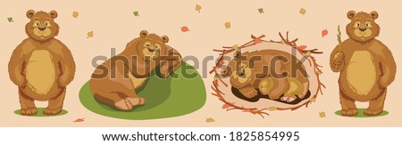 A bear sleeps sweetly on a hill in summer under a tree. Good brown bear. A bear with a bear cub sleeps in a den in the winter in an embrace. Ursa. Winter hibernation of bears Photo stock © 