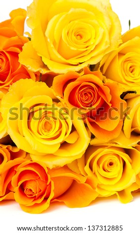 yellow and orange roses isolated on white background