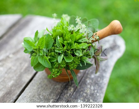 fresh herbs in a wooden mortar