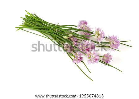 Similar – Image, Stock Photo White chive blossom with green stems parallel