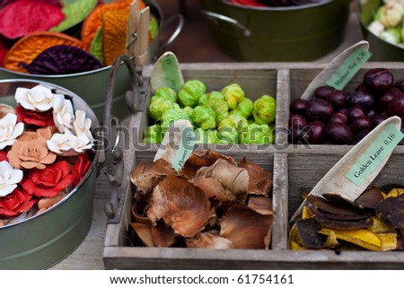 autumn and winter decorations made of dried fruit and vegetables