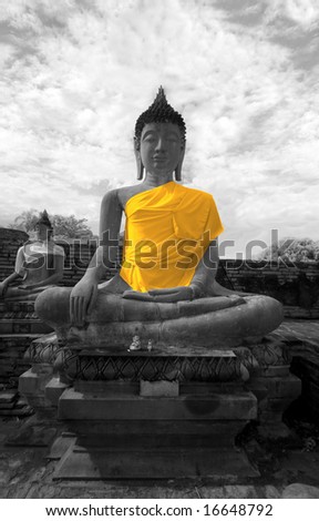 The Buddha Image in Yellow Robe taken in Near Infrared