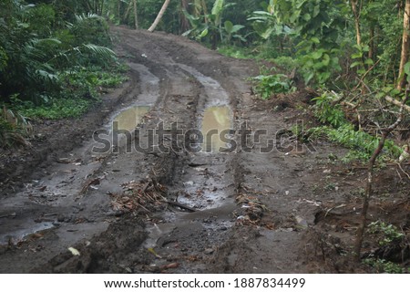 dirt a road on Peeing