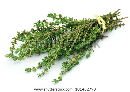This is fresh herb. I bundled up thyme and took it in a white background.