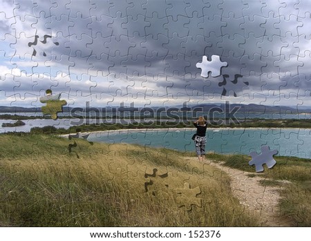 Landscape puzzle