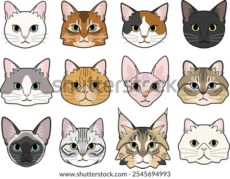  Various types of cat faces.