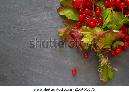 Red arrow wood berries with colored leaves in the back on dark stone background