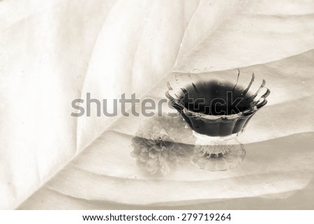 grape juice in small glass on closeup leaf background in black and white tone