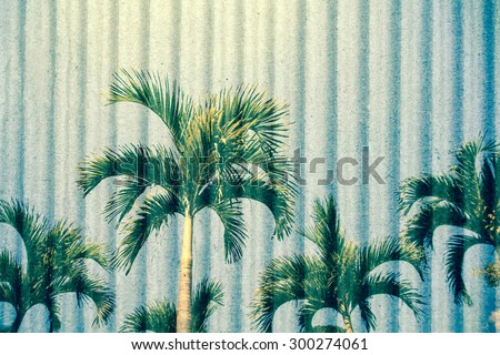 palm tree and blue sky with crepe paper background  ,vintage tone