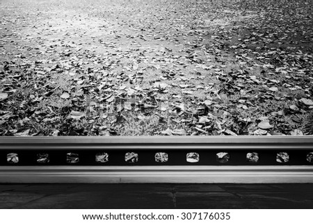 image of terrace and dry leave on turf ,black and white tone