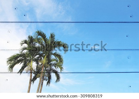 blur image of coconut tree with wooden wall and nails background