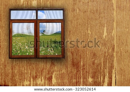 window with white drapery and grassland and rice field in window ,peel wooden wall background