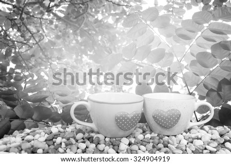 two cups of coffee on pebble ground with leaf on tree ,orange and yellow light background ,black and white tone