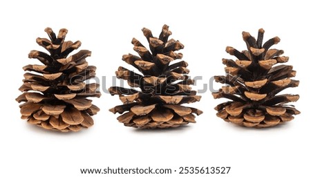 Image, Stock Photo Natural pine brown cones for holiday decoration