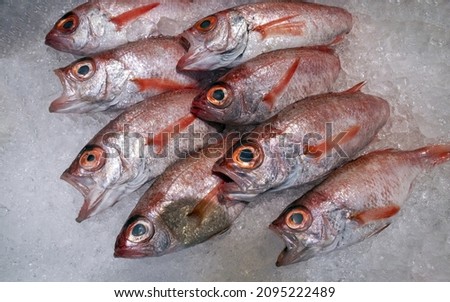 Shutterstock Puzzlepix