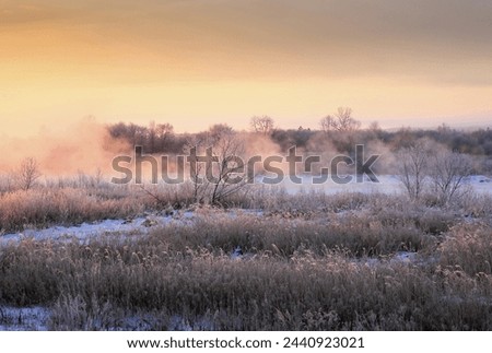 Similar – hoarfrost against the light