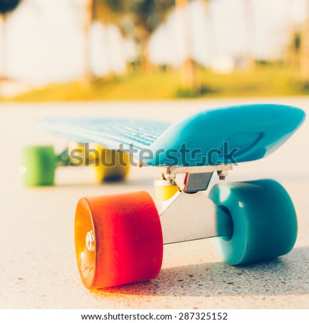 rear view of the blue penny board with bright multicolored wheels stands on the track in front of the palm trees