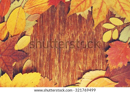 frame of dry autumn leaves, your text here