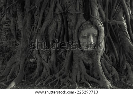 The head of the sandstone Buddha covered by roots of Bodhi tree at Wat Mahathat, Ayutthaya, Thailand